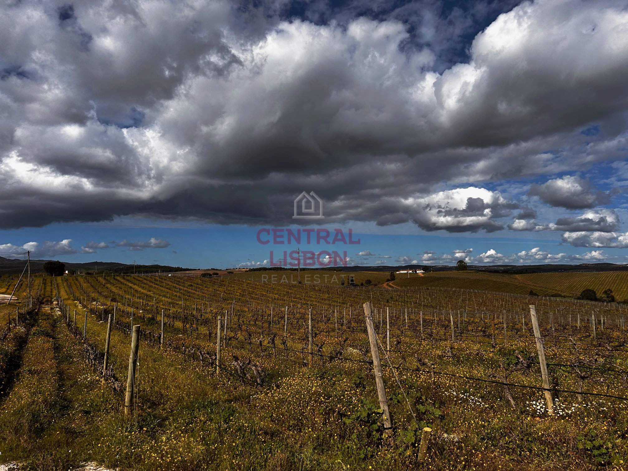 Rural quinta with vineyard, olive grove, and pool on 6 hectares in Alentejo, Portugal