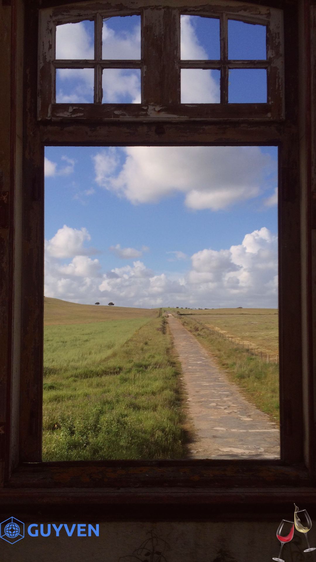 Alentejo wine region — vast plains with cork oak trees and vineyards
