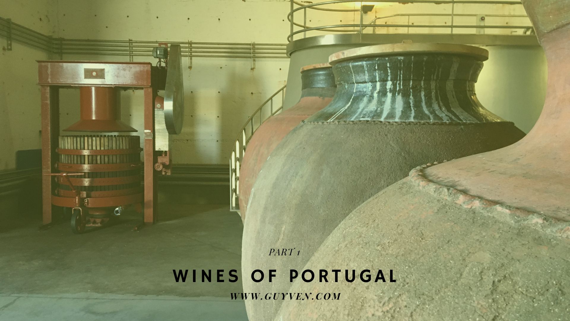 Portuguese wine culture — local winery and wine tasting